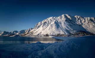 深入探索糖心vlog网页版免费的那层信息：评论区变化背后的秘密